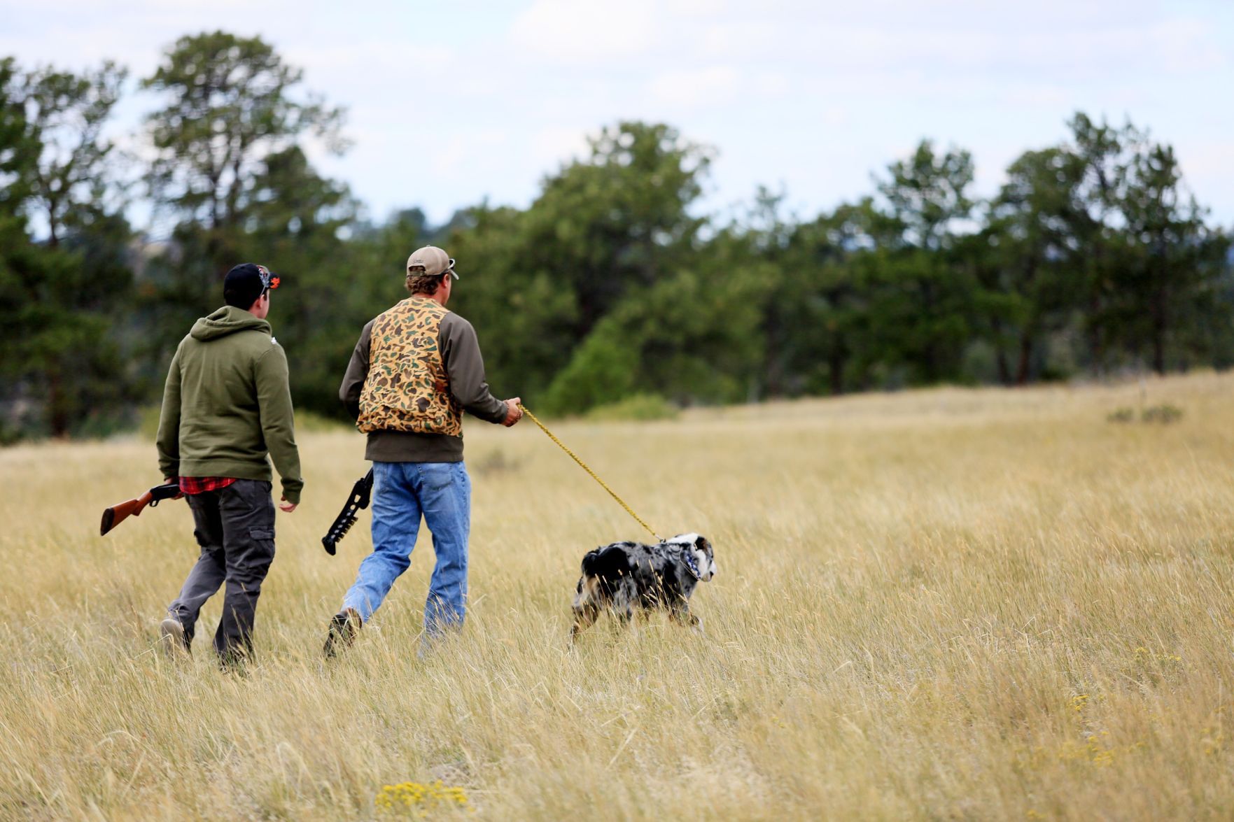 Bird hunters